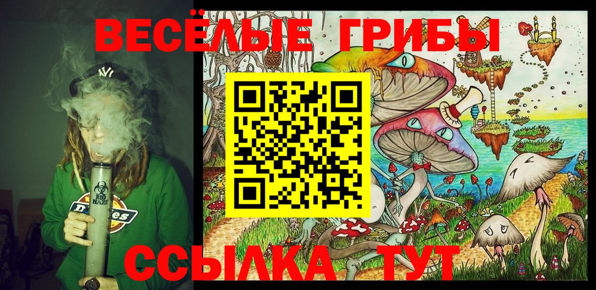 Заречный  Псилоцибиновые грибы мухоморы  Вход с VPN  Галлюциногенные грибы мицелий 